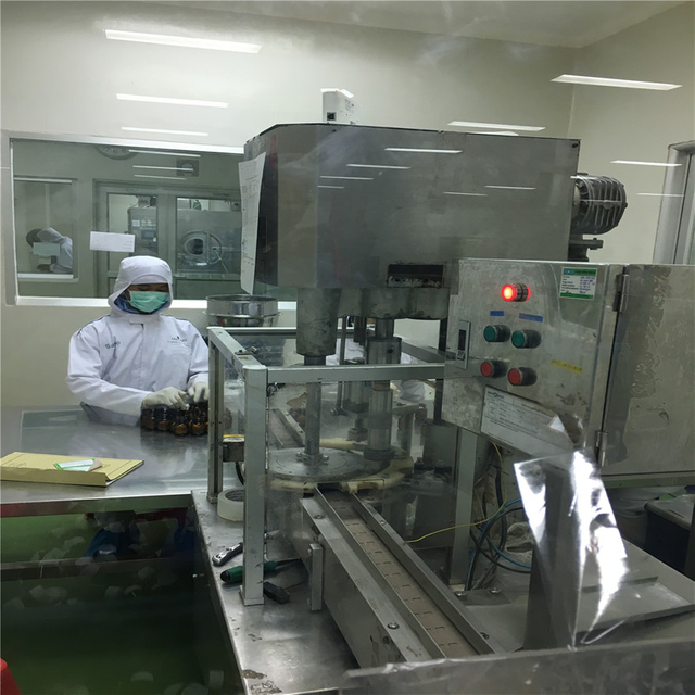 Cliente visitante comprou linha de envase automática para cápsula e tablet