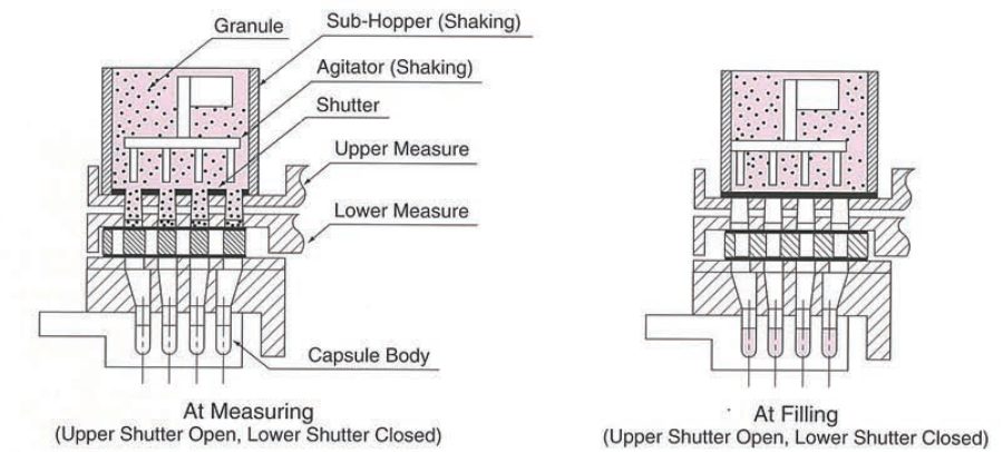 enchimento de c&aacute;psulas _granule