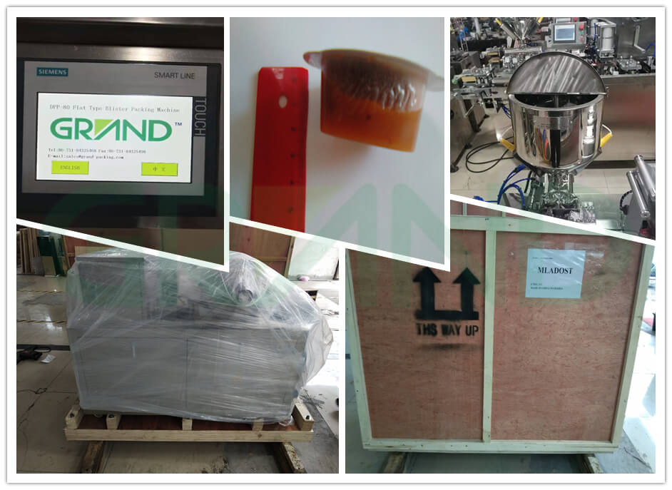 M&aacute;quina de embalagem de bolha para gel&eacute;ia